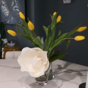 Meet your Posher, Rosemarie